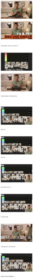 강형욱이 선정한 견종 난이도 티어리스트.tear