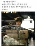 해리포터)돚거의 역사