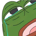여러분 부디 치이카와짤을 올리지 말아주세요✋️✋️✋️✋️