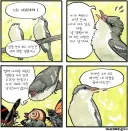 행복의 비결