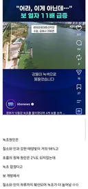 녹조현상 잡겠다고 낙동강 보 열었다가 대참사..jpg