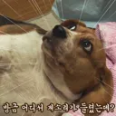 13호 태풍 돌핀 덕분에 +_+;;;