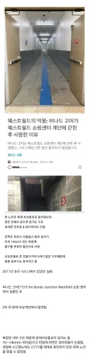 현실판 백룸 사망사건