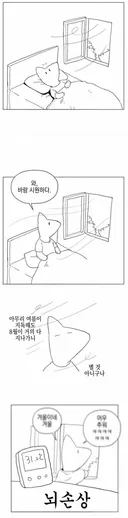 오늘 한국인들 특징.jpg