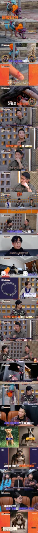 강형욱이 포기한 케이스