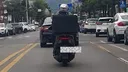 딸배