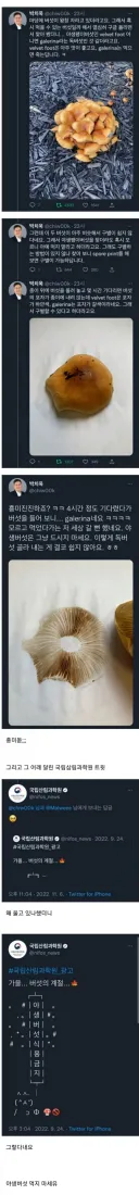교수님의 독버섯 구분법