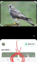 갤럭시 초간단 꿀검색기능