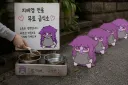 길거리에서 함부로 지에엥 밥주면 안되는 이유.JPG