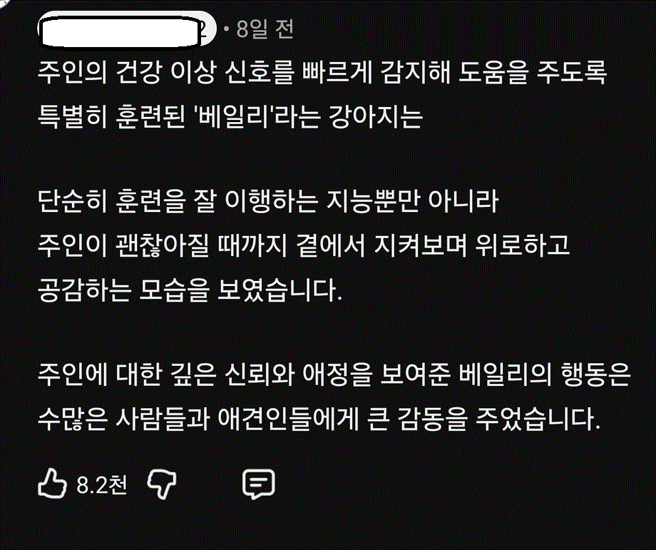 주인도 몰랐던 위험한 순간 강아지의 놀라운 행동