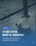 강아지 지방종 제거? 수술비용까지