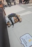 어제 고양 스타필드에 나타난 거북이