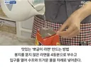 평생 오해받던 뽀글이