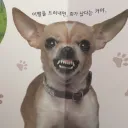 엌ㅋㅋㅋ 님듴ㅋㅋㅋ 개가 화를 쉽게 내는 이유가 뭐게옄ㅋㅋㅋㅋ