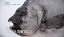 조각 장인이 작품을 낚시 프로그램에 기부한 이유