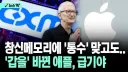 "램을 꼭 기존에 검증된 회사에서만 사야한다는 그런 편견"