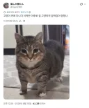 외간 남자 냄새 묻히고 들어왔을 때