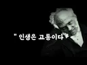 요새 주식장을 보며 드는 생각