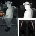 그알 통영 60대 여성 살인사건 범인 분석 결과