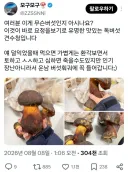 덜 익었을 때 먹으면 ㅅㅅ 할 수도 있는 버섯
