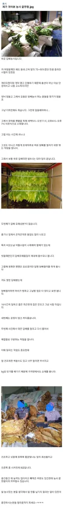 농사 난이도 끝판왕 jpg.