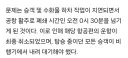 “안전벨트 안 맬거야!”… 어린아이 고집에 비행기 결국 못 떴다