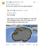 "님이 열심히 지은 기지 말인데요"