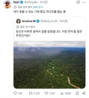 "당신은 아마존 한복판에 떨어졌습니다"