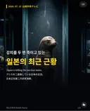 일본 근황: 본인들이 멸종시킨 독도 강치의 박제본을 전시하며 독도는 일본땅이라고 주장하는 중