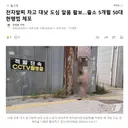 전자발찌 차고 대낮 도심 알몸 활보..출소 5개월 50대 현행범 체포