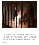 당시 일제가 독립운동가들에게 가했던 고문 (극히일부)