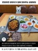 혼밥하면 강아지가 앞에 앉아주는 설렁탕집