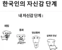 한국인의 자신감 단계