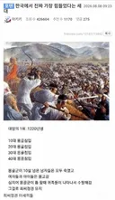 한국에서 진짜 가장 힘들었다는 세대