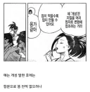 나히아) 뛰는 놈 위에 나는 놈 있구나 싶었던거