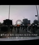 자라니 때문에 열받은 적 있다면 이 영상을....