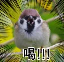 친일파 새끼들 지 자식들 교육 제대로 안시켰다가