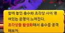 카링 다른건 모르겠는데 석상은 뭐 어케 정상화 안해주나