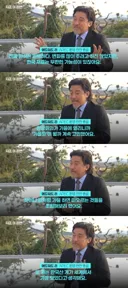 ''한국도 이제 입추에 들어섰네요, 가을 하면 감이죠''