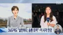 한국인들 근황