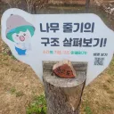 수간의 기본 구조 이해하기.jpg