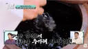 어서와 한국 이탈리아 미슐랭 쉐프 화들짝 선재스님의 80년