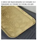 어느 집을 가도 존재한다는 황금쟁반