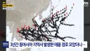 지난 3년간 동아시아 태풍경로 분석