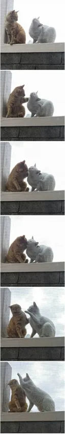 자기 오늘따라 왤케 이뻐