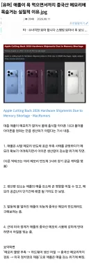 애플) 중국 메모리 관련 비벼대는게 존나 얼척없는게