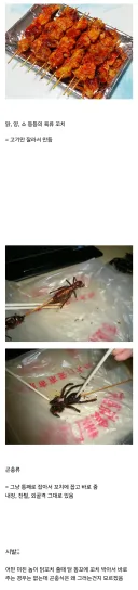 아무리 맛있어도 곤충식은 먹기 싫다고 하는 이유.jpg