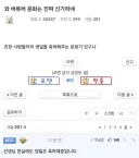 버튜버들만의 특이한 문화.jpg