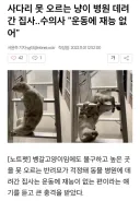고양이 움직이는게 이상해서 병원 데려간 결과.jpg