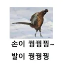 와 폭염 지나니까 날씨 진짜